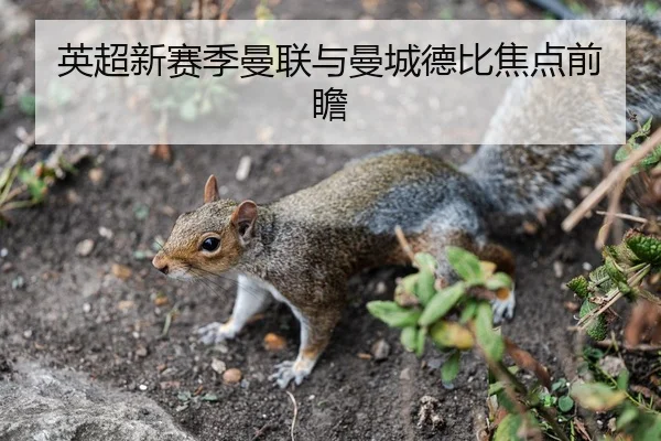 英超新赛季曼联与曼城德比焦点前瞻